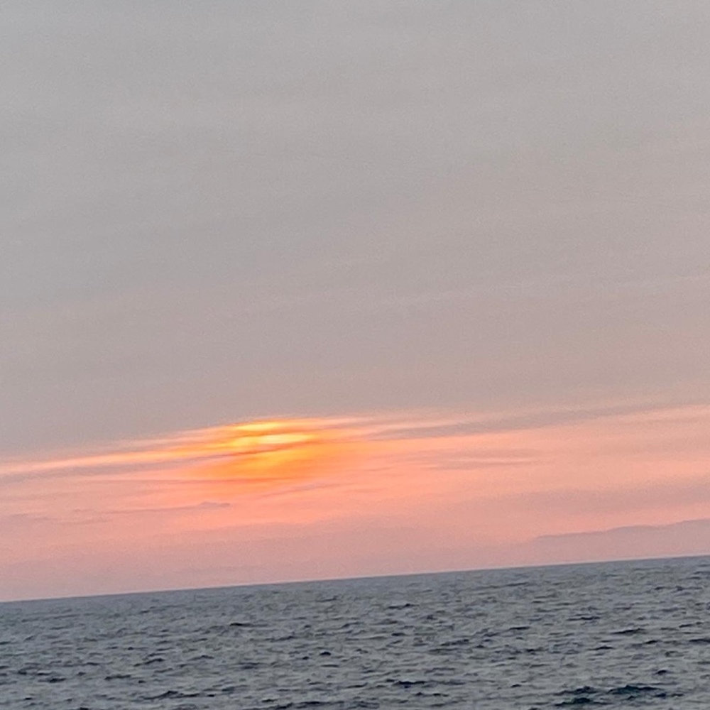 Meet your Posher, Sophie